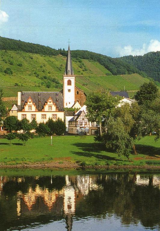 Moselwinzerhaus Daire Bruttig-Fankel Dış mekan fotoğraf